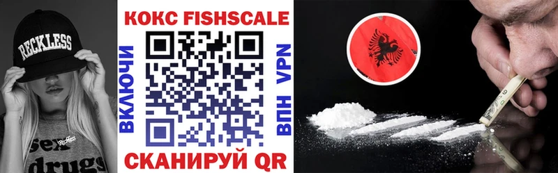 Кокаин FishScale  omg ССЫЛКА  Купино 