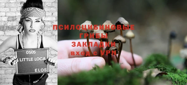 ГАЛЛЮЦИНОГЕННЫЕ ГРИБЫ Белокуриха