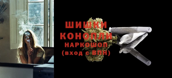 ГАЛЛЮЦИНОГЕННЫЕ ГРИБЫ Белокуриха