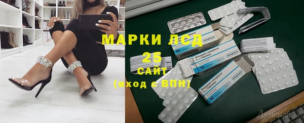ГАЛЛЮЦИНОГЕННЫЕ ГРИБЫ Белокуриха