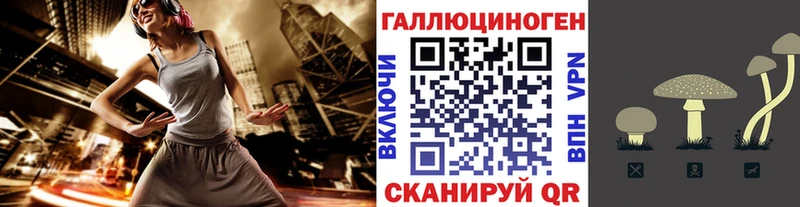 Псилоцибиновые грибы Psilocybe  Купино 
