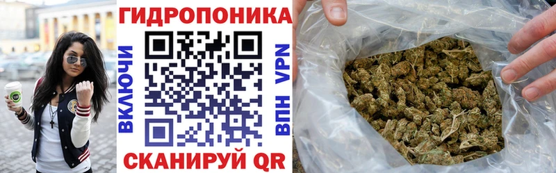 кракен ССЫЛКА  Купино  Канабис гибрид 